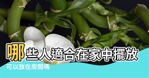 銅馬風水|【風水銅馬哪種好】可以放在房間嗎 